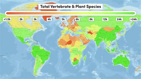 megadiversity country|All 17 Megadiverse Countries with Photos & Heat Map .